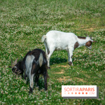 Parrot World, le parc animalier immersif d'Île-de-France