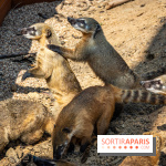 Parrot World, le parc animalier immersif d'Île-de-France