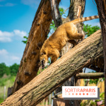 Parrot World, le parc animalier immersif d'Île-de-France