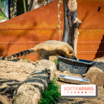 Parrot World, le parc animalier immersif d'Île-de-France