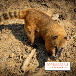 Parrot World, le parc animalier immersif d'Île-de-France