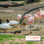 Parrot World, le parc animalier immersif d'Île-de-France