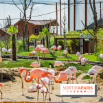 Parrot World, le parc animalier immersif d'Île-de-France