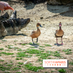 Parrot World, le parc animalier immersif d'Île-de-France