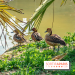 Parrot World, le parc animalier immersif d'Île-de-France