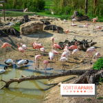 Parrot World, le parc animalier immersif d'Île-de-France