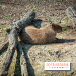 Parrot World, le parc animalier immersif d'Île-de-France