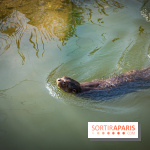 Parrot World, le parc animalier immersif d'Île-de-France