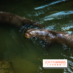 Parrot World, le parc animalier immersif d'Île-de-France