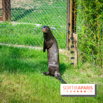 Parrot World, le parc animalier immersif d'Île-de-France