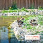 Parrot World, le parc animalier immersif d'Île-de-France