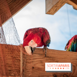 Parrot World, le parc animalier immersif d'Île-de-France