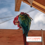 Parrot World, le parc animalier immersif d'Île-de-France