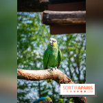 Parrot World, le parc animalier immersif d'Île-de-France