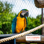 Parrot World, le parc animalier immersif d'Île-de-France
