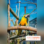 Parrot World, le parc animalier immersif d'Île-de-France