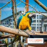Parrot World, le parc animalier immersif d'Île-de-France