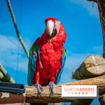 Parrot World, le parc animalier immersif d'Île-de-France