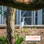 Parrot World, le parc animalier immersif d'Île-de-France