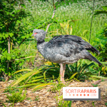 Parrot World, le parc animalier immersif d'Île-de-France