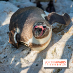 Parrot World, le parc animalier immersif d'Île-de-France