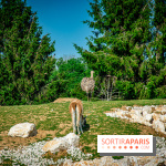 Parrot World, le parc animalier immersif d'Île-de-France