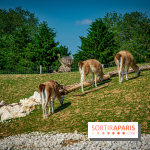 Parrot World, le parc animalier immersif d'Île-de-France