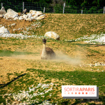 Parrot World, le parc animalier immersif d'Île-de-France