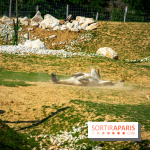 Parrot World, le parc animalier immersif d'Île-de-France