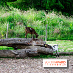 Parrot World, le parc animalier immersif d'Île-de-France