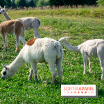 Parrot World, le parc animalier immersif d'Île-de-France