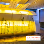 Surface Horizon, l'exposition à Lafayette Anticipations : nos photos