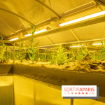 Surface Horizon, l'exposition à Lafayette Anticipations : nos photos