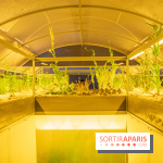 Surface Horizon, l'exposition à Lafayette Anticipations : nos photos