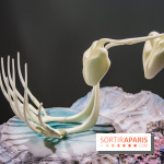 Surface Horizon, l'exposition à Lafayette Anticipations : nos photos