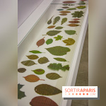 Drawing Power - Children of Compost, l'exposition au Drawing Lab