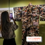 Jardins d'Asie, l'exposition dépaysante du Musée Guimet - nos photos