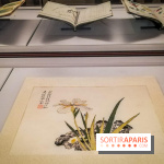 Jardins d'Asie, l'exposition dépaysante du Musée Guimet - nos photos