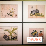 Jardins d'Asie, l'exposition dépaysante du Musée Guimet - nos photos