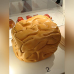 Body house - François Bernard©