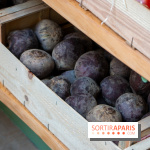 Sapid, la table à manger Naturaliste d'Alan Ducasse : nos photos