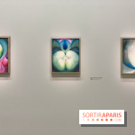 Georgia O'keeffe au Centre Pompidou