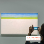Georgia O'keeffe au Centre Pompidou