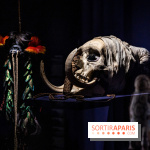 Exposition Aux frontières de l'humain au Musée de l'Homme