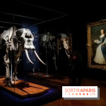 Les animaux du Roi, une exposition qui a du chien au Château de Versailles - nos photos