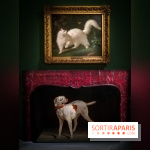 Les animaux du Roi, une exposition qui a du chien au Château de Versailles - nos photos