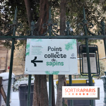 Visuel actualités - collecte sapin paris