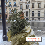 Visuel actualités - sapin jeté poubelle rue