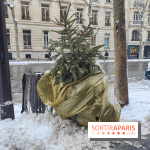Visuel actualités - sapin jeté poubelle rue