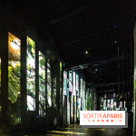 Photos : Destination Cosmos à l'Atelier des Lumières